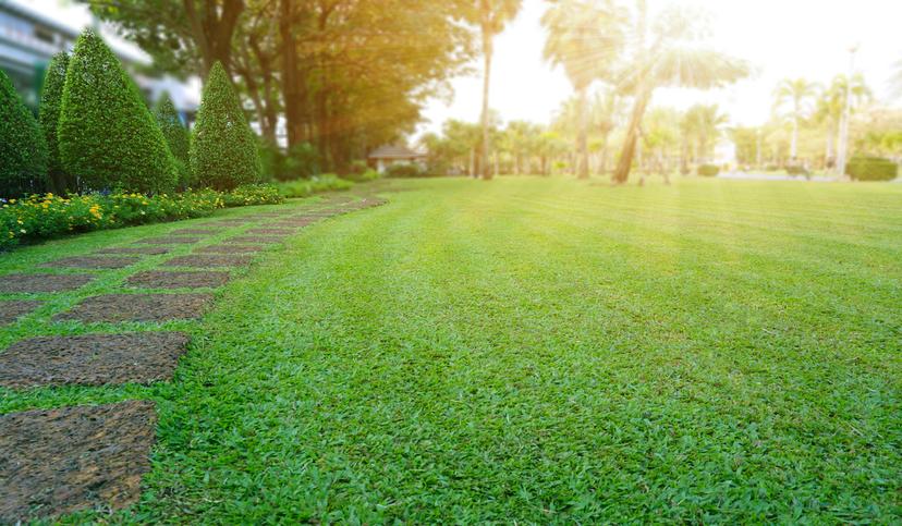 Strategies to Improve Customer Experience for Lawn Care
