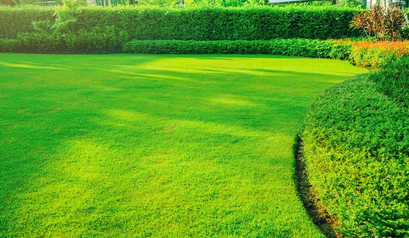 10 Automation Ideas for Lawn Care